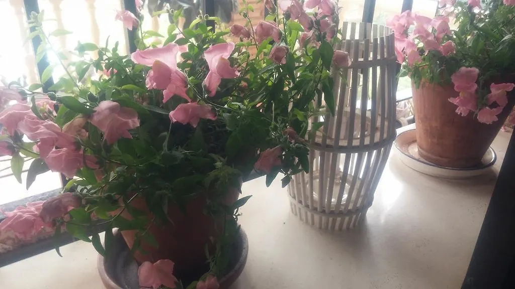 Bed & Breakfast El Manantial B&B El Higueron Spain